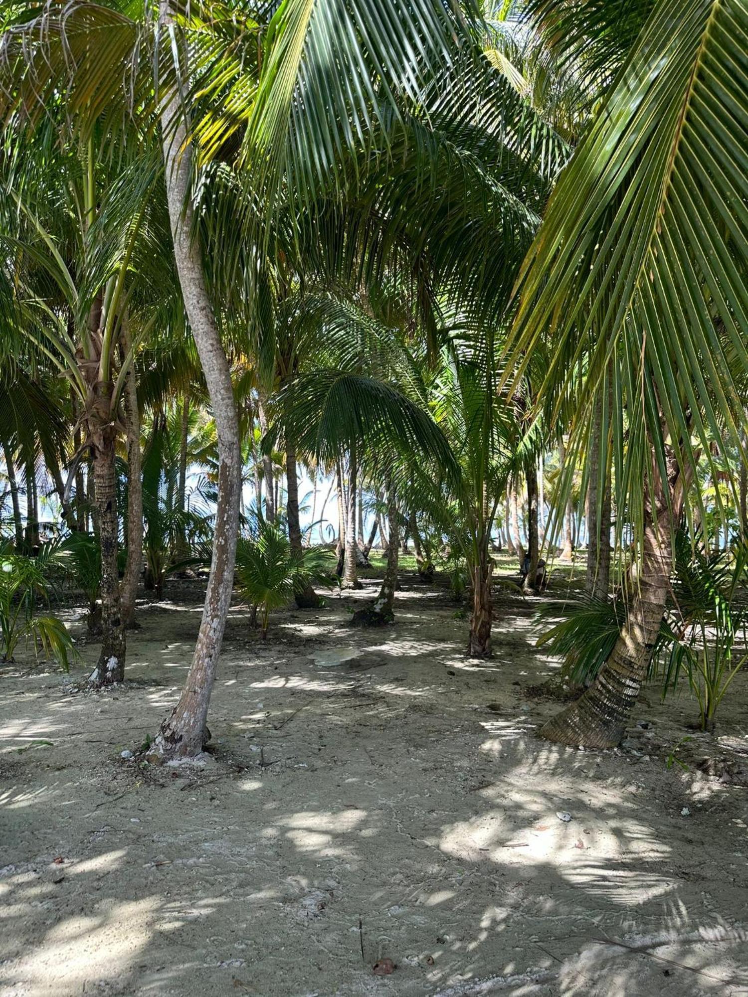 Cabanas Narasgandup Mamartupo Exterior foto